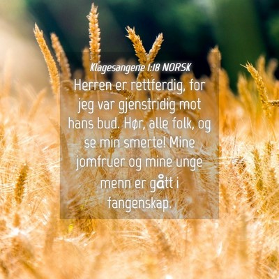 Picture 04 - Klagesangene 1:18 NORSK - Herren er rettferdig, for jeg var gjenstridig mot - Bible Verse Picture