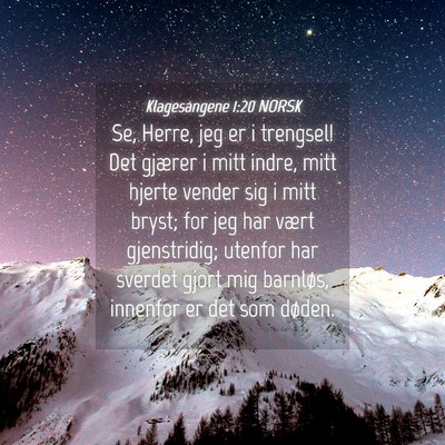 Picture 04 - Klagesangene 1:20 NORSK - Se, Herre, jeg er i trengsel! Det gjærer i mitt - Bible Verse Picture