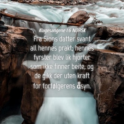 Picture 04 - Klagesangene 1:6 NORSK - Fra Sions datter svant all hennes prakt; hennes - Bible Verse Picture
