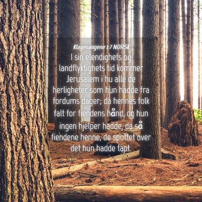 Picture 04 - Klagesangene 1:7 NORSK - I sin elendighets og landflyktighets tid kommer - Bible Verse Picture