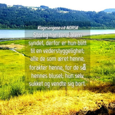 Picture 04 - Klagesangene 1:8 NORSK - Storlig har Jerusalem syndet, derfor er hun blitt - Bible Verse Picture