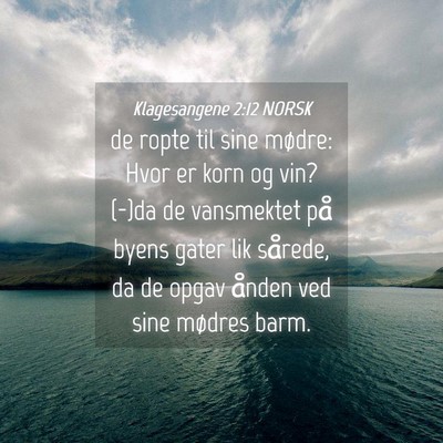 Picture 04 - Klagesangene 2:12 NORSK - de ropte til sine mødre: Hvor er korn og vin? - Bible Verse Picture