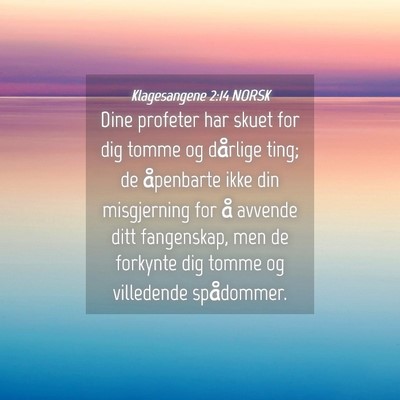 Picture 04 - Klagesangene 2:14 NORSK - Dine profeter har skuet for dig tomme og dårlige - Bible Verse Picture