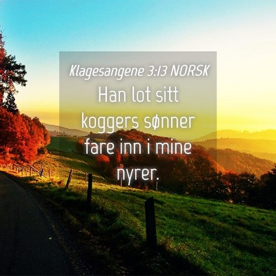 Picture 04 - Klagesangene 3:13 NORSK - Han lot sitt koggers sønner fare inn i mine - Bible Verse Picture