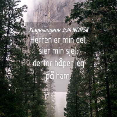 Picture 04 - Klagesangene 3:24 NORSK - Herren er min del, sier min sjel; derfor håper - Bible Verse Picture