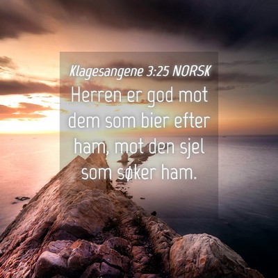 Picture 04 - Klagesangene 3:25 NORSK - Herren er god mot dem som bier efter ham, mot den - Bible Verse Picture