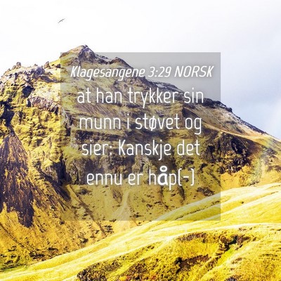 Picture 04 - Klagesangene 3:29 NORSK - at han trykker sin munn i støvet og sier: - Bible Verse Picture