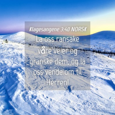 Picture 04 - Klagesangene 3:40 NORSK - La oss ransake våre veier og granske dem, og la - Bible Verse Picture