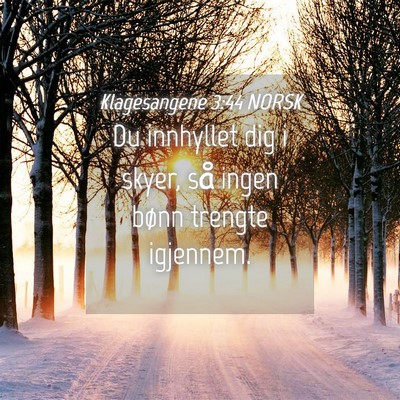 Picture 04 - Klagesangene 3:44 NORSK - Du innhyllet dig i skyer, så ingen bønn trengte - Bible Verse Picture