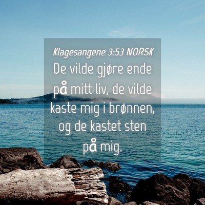 Picture 04 - Klagesangene 3:53 NORSK - De vilde gjøre ende på mitt liv, de vilde kaste - Bible Verse Picture