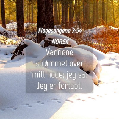 Picture 04 - Klagesangene 3:54 NORSK - Vannene strømmet over mitt hode; jeg sa: Jeg er - Bible Verse Picture