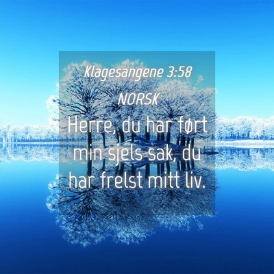Picture 04 - Klagesangene 3:58 NORSK - Herre, du har ført min sjels sak, du har frelst - Bible Verse Picture