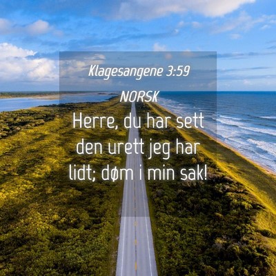 Picture 04 - Klagesangene 3:59 NORSK - Herre, du har sett den urett jeg har lidt; døm i - Bible Verse Picture