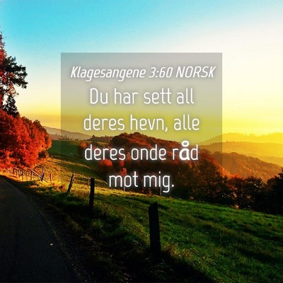 Picture 04 - Klagesangene 3:60 NORSK - Du har sett all deres hevn, alle deres onde råd - Bible Verse Picture