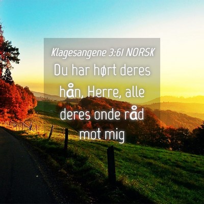 Picture 04 - Klagesangene 3:61 NORSK - Du har hørt deres hån, Herre, alle deres onde - Bible Verse Picture