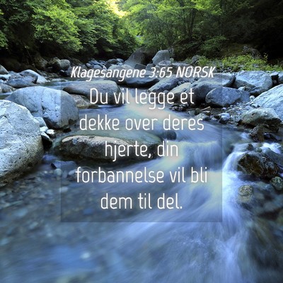Picture 04 - Klagesangene 3:65 NORSK - Du vil legge et dekke over deres hjerte, din - Bible Verse Picture
