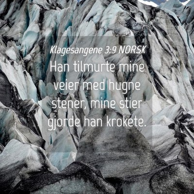 Picture 04 - Klagesangene 3:9 NORSK - Han tilmurte mine veier med hugne stener, mine - Bible Verse Picture