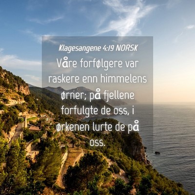 Picture 04 - Klagesangene 4:19 NORSK - Våre forfølgere var raskere enn himmelens - Bible Verse Picture