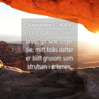 Picture 04 - Klagesangene 4:3 NORSK - Endog sjakaler rekker bryst, gir sine unger die; - Bible Verse Picture
