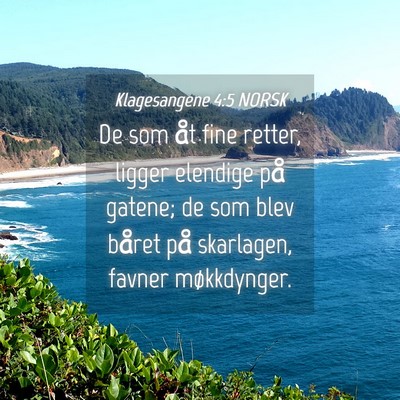 Picture 04 - Klagesangene 4:5 NORSK - De som åt fine retter, ligger elendige på - Bible Verse Picture