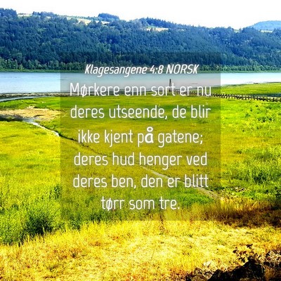 Picture 04 - Klagesangene 4:8 NORSK - Mørkere enn sort er nu deres utseende, de blir - Bible Verse Picture