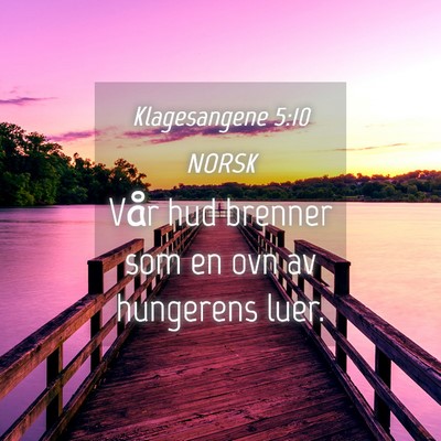 Picture 04 - Klagesangene 5:10 NORSK - Vår hud brenner som en ovn av hungerens - Bible Verse Picture