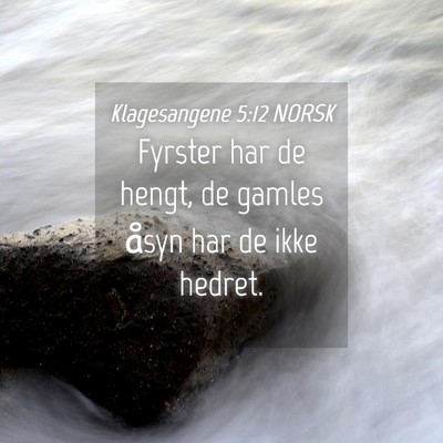 Picture 04 - Klagesangene 5:12 NORSK - Fyrster har de hengt, de gamles åsyn har de ikke - Bible Verse Picture