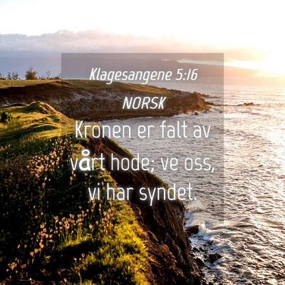 Picture 04 - Klagesangene 5:16 NORSK - Kronen er falt av vårt hode; ve oss, vi har - Bible Verse Picture