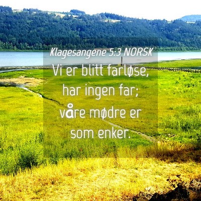 Picture 04 - Klagesangene 5:3 NORSK - Vi er blitt farløse, har ingen far; våre mødre - Bible Verse Picture