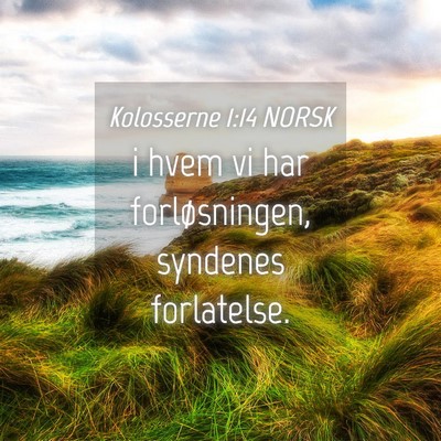 Picture 04 - Kolosserne 1:14 NORSK - i hvem vi har forløsningen, syndenes - Bible Verse Picture