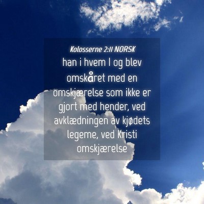 Picture 04 - Kolosserne 2:11 NORSK - han i hvem I og blev omskåret med en - Bible Verse Picture