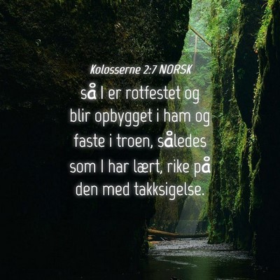 Picture 04 - Kolosserne 2:7 NORSK - så I er rotfestet og blir opbygget i ham og - Bible Verse Picture