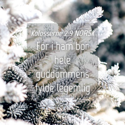 Picture 04 - Kolosserne 2:9 NORSK - For i ham bor hele guddommens fylde - Bible Verse Picture
