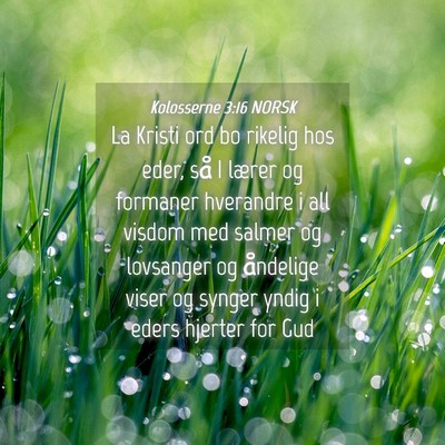 Picture 04 - Kolosserne 3:16 NORSK - La Kristi ord bo rikelig hos eder, så I lærer - Bible Verse Picture