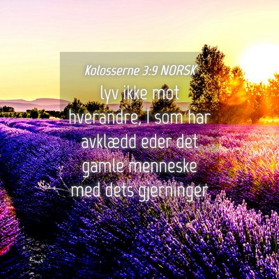 Picture 04 - Kolosserne 3:9 NORSK - lyv ikke mot hverandre, I som har avklædd eder - Bible Verse Picture