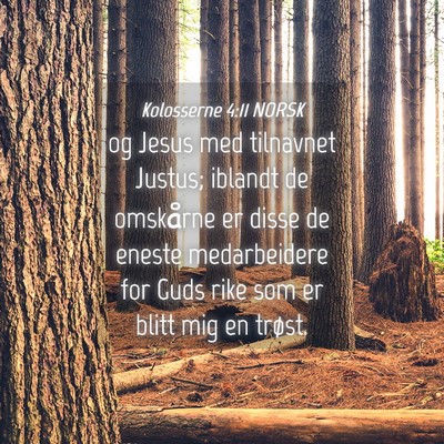 Picture 04 - Kolosserne 4:11 NORSK - og Jesus med tilnavnet Justus; iblandt de - Bible Verse Picture