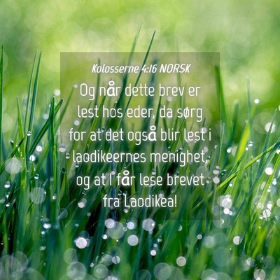 Picture 04 - Kolosserne 4:16 NORSK - Og når dette brev er lest hos eder, da sørg for - Bible Verse Picture