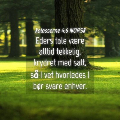 Picture 04 - Kolosserne 4:6 NORSK - Eders tale være alltid tekkelig, krydret med - Bible Verse Picture