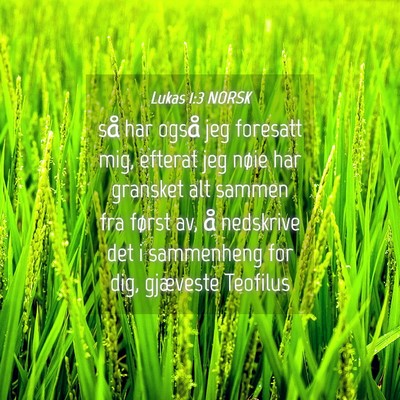 Picture 04 - Lukas 1:3 NORSK - så har også jeg foresatt mig, efterat jeg nøie - Bible Verse Picture