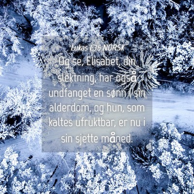 Picture 04 - Lukas 1:36 NORSK - Og se, Elisabet, din slektning, har også - Bible Verse Picture