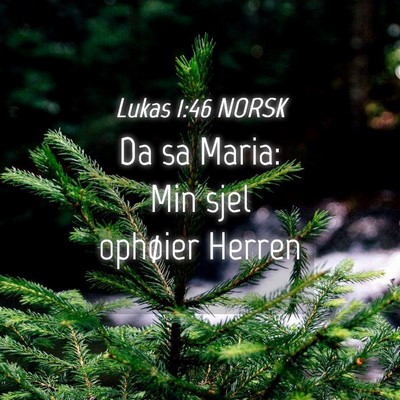 Picture 04 - Lukas 1:46 NORSK - Da sa Maria: Min sjel ophøier - Bible Verse Picture