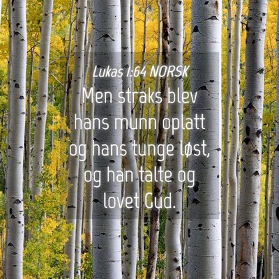 Picture 04 - Lukas 1:64 NORSK - Men straks blev hans munn oplatt og hans tunge - Bible Verse Picture