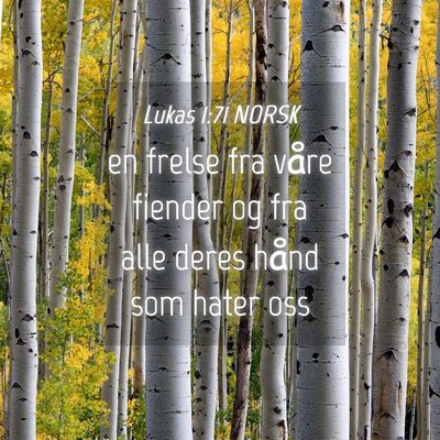 Picture 04 - Lukas 1:71 NORSK - en frelse fra våre fiender og fra alle deres - Bible Verse Picture