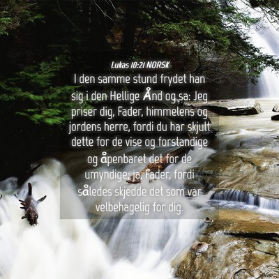 Picture 04 - Lukas 10:21 NORSK - I den samme stund frydet han sig i den Hellige - Bible Verse Picture