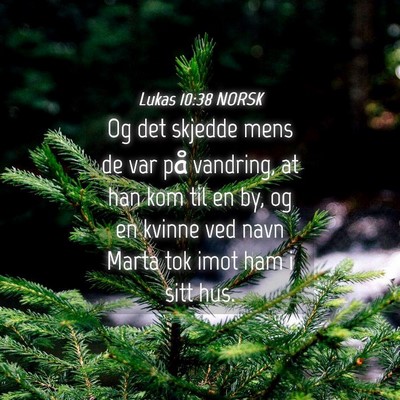 Picture 04 - Lukas 10:38 NORSK - Og det skjedde mens de var på vandring, at han - Bible Verse Picture