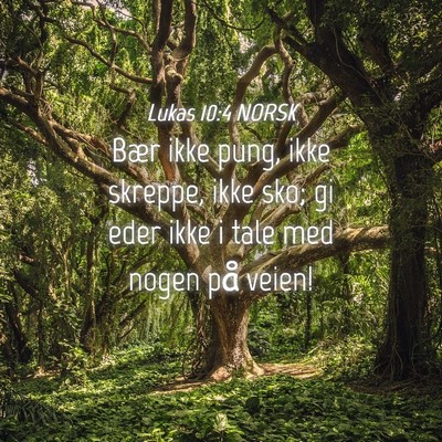 Picture 04 - Lukas 10:4 NORSK - Bær ikke pung, ikke skreppe, ikke sko; gi eder - Bible Verse Picture