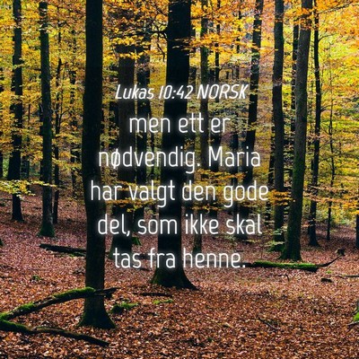 Picture 04 - Lukas 10:42 NORSK - men ett er nødvendig. Maria har valgt den gode - Bible Verse Picture