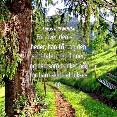 Picture 04 - Lukas 11:10 NORSK - For hver den som beder, han får, og den som - Bible Verse Picture