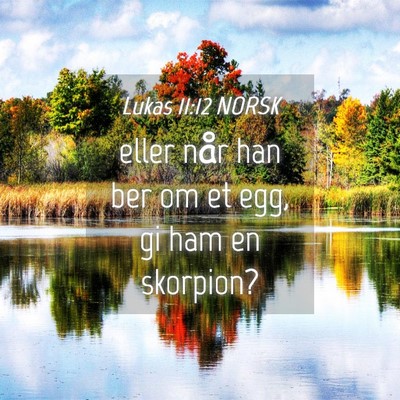 Picture 04 - Lukas 11:12 NORSK - eller når han ber om et egg, gi ham en - Bible Verse Picture