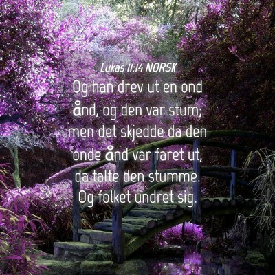 Picture 04 - Lukas 11:14 NORSK - Og han drev ut en ond ånd, og den var stum; men - Bible Verse Picture